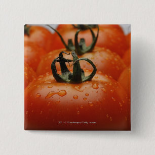 Bóton Quadrado 5.08cm Fim-acima dos tomates 2