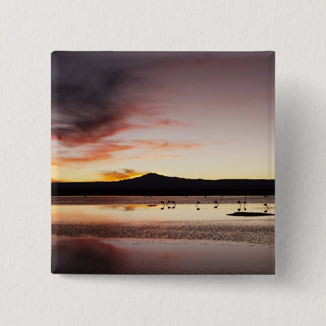 Bóton Quadrado 5.08cm Flamingo Chileno (Frente)