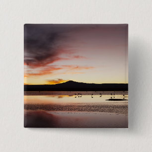 Bóton Quadrado 5.08cm Flamingo chileno