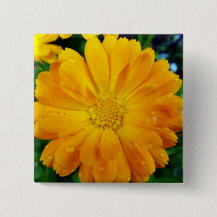 Bóton Quadrado 5.08cm flor de gerbera amarela