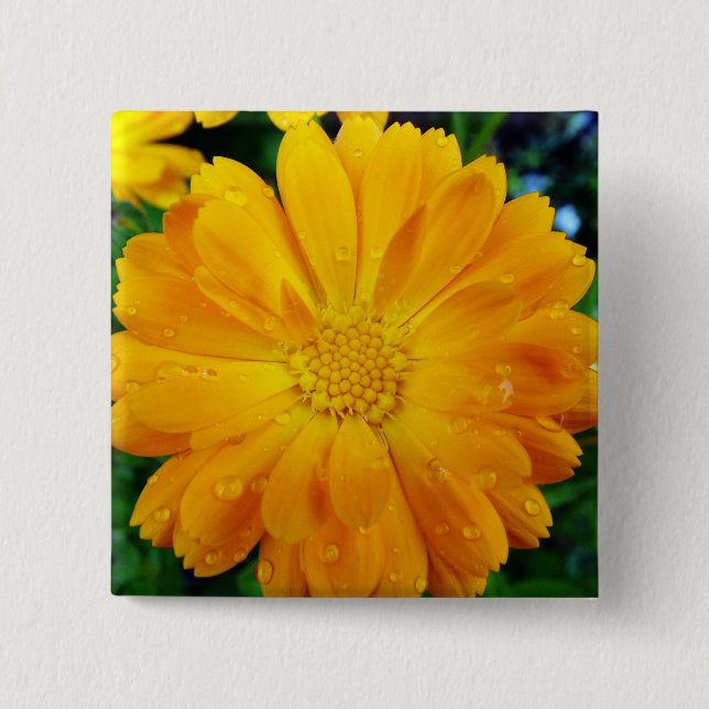 Bóton Quadrado 5.08cm flor de gerbera amarela (Frente)