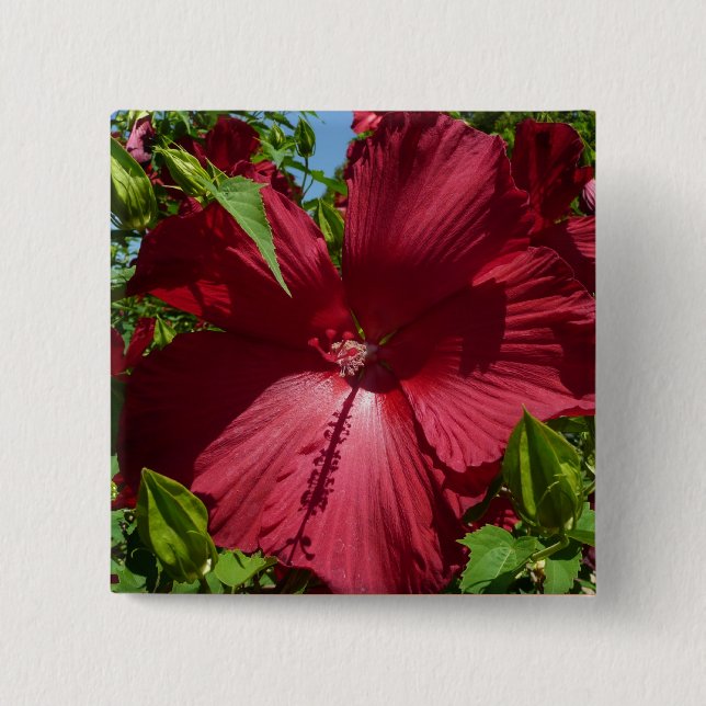 Bóton Quadrado 5.08cm Flor de Hibiscus e Céu Azul (Frente)