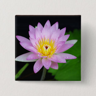 Bóton Quadrado 5.08cm Flor de Lotus