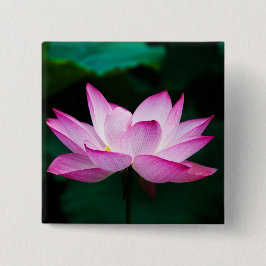 Bóton Quadrado 5.08cm Flor de Lotus Rosa