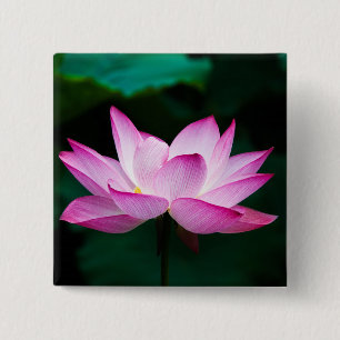 Bóton Quadrado 5.08cm Flor de Lotus Rosa