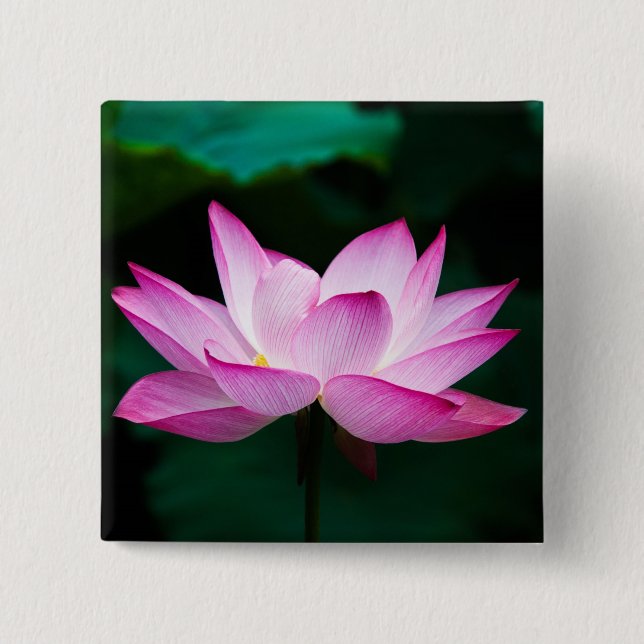 Bóton Quadrado 5.08cm Flor de Lotus Rosa (Frente)