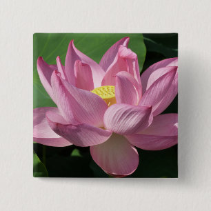 Bóton Quadrado 5.08cm Flor de Lotus Rosa IV