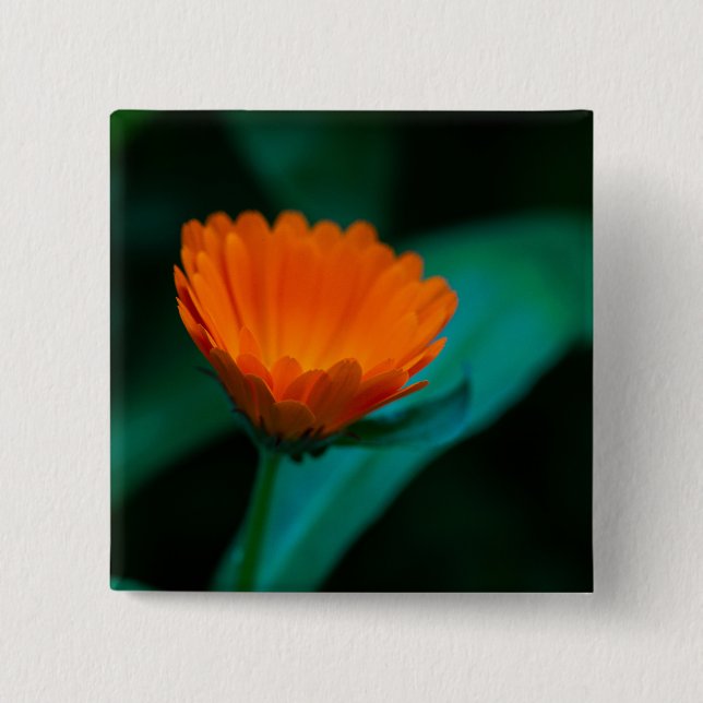 Bóton Quadrado 5.08cm Flor de margarida laranja (Frente)