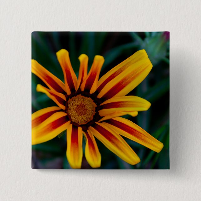 Bóton Quadrado 5.08cm Flor Gazania (Frente)