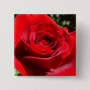 Bóton Quadrado 5.08cm Flor Rosa vermelha Brilhante Floral
