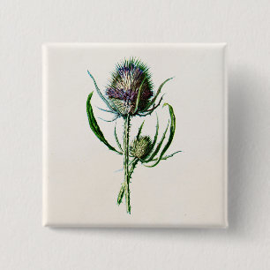 Bóton Quadrado 5.08cm Flor selvagem do cardo escocês velho do vintage