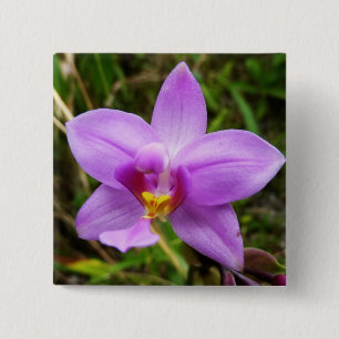 Bóton Quadrado 5.08cm Flor Tropical Roxo de Orquídea Selvagem