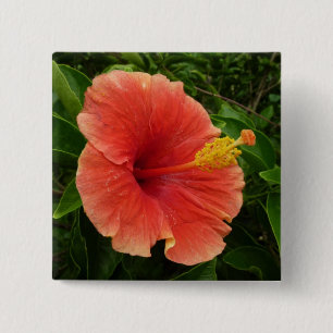 Bóton Quadrado 5.08cm Floral Tropical de Flor de Hibiscus Laranja