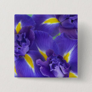Bóton Quadrado 5.08cm Flores de íris