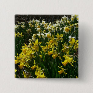 Bóton Quadrado 5.08cm Flores de primavera de Daffodils Amarelos e Branco
