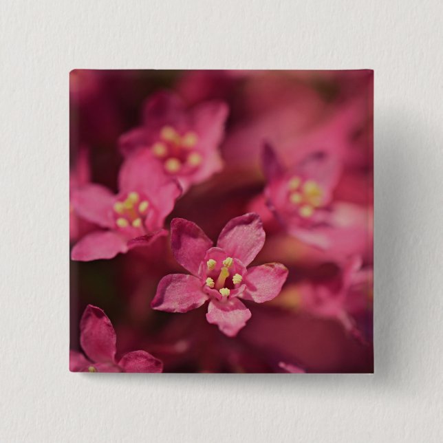 Bóton Quadrado 5.08cm Flores Rosa Bonitas (Frente)