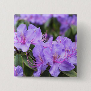 Bóton Quadrado 5.08cm flores roxas de azálea, 杜 鹃 花