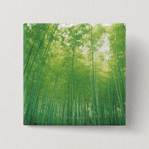 Bóton Quadrado 5.08cm Floresta de bambu 2
