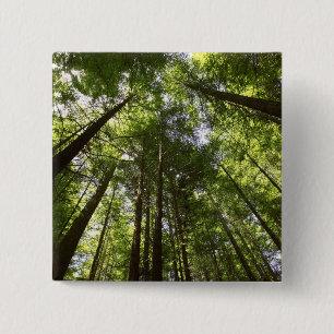 Bóton Quadrado 5.08cm Floresta de Redwood, Rotorua, Nova Zelândia 2