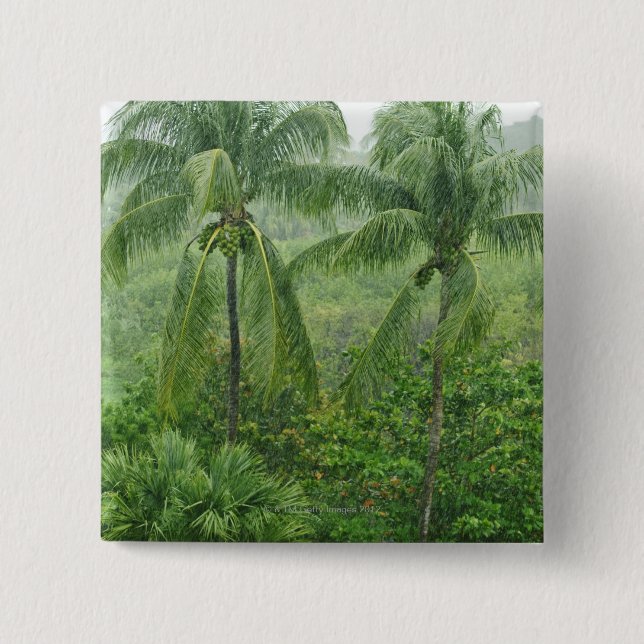 Bóton Quadrado 5.08cm Floresta húmida tropical (Frente)