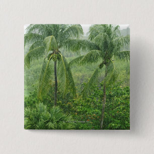 Bóton Quadrado 5.08cm Floresta húmida tropical