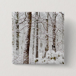 Bóton Quadrado 5.08cm Florestas nevado de Pocono