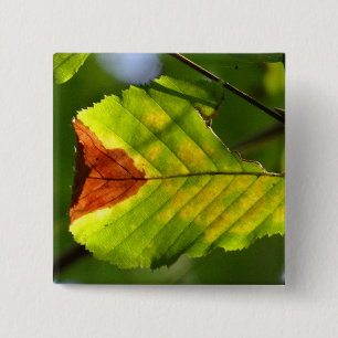 Bóton Quadrado 5.08cm Folha de outono Verde