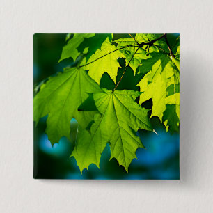 Bóton Quadrado 5.08cm Folhas frescas de mapeamento verde