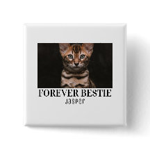 Forever bastie minimilist pet bastie