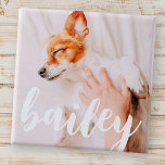 Bóton Quadrado 5.08cm Foto de Pet Simples Elegante Reprodutiva Moderna<br><div class="desc">Este design simples e clássico é composto por tipografia serif e adiciona uma foto personalizada do seu animal de estimação.</div>