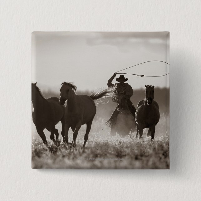 Bóton Quadrado 5.08cm Foto preto e branco de cavalos de um Lassoing do (Frente)