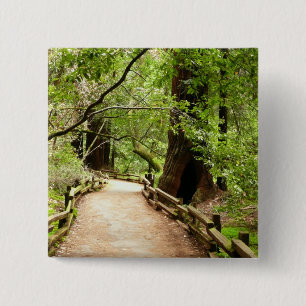 Bóton Quadrado 5.08cm Fotografia da Natureza do Caminho Muir Woods II