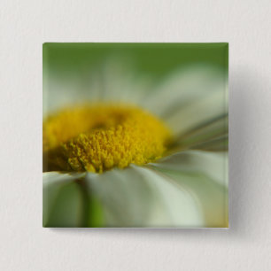 Bóton Quadrado 5.08cm Fresca Daisy