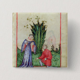 Bóton Quadrado 5.08cm Fruta de Mandrake, from Tacuinum Sanitatis