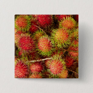 Bóton Quadrado 5.08cm Fruta Rambutan no mercado Can Duoc
