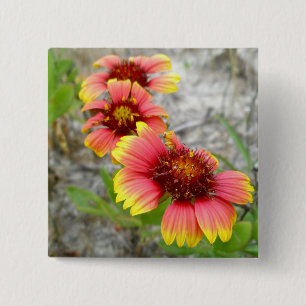 Bóton Quadrado 5.08cm Gaillardia Wildflower (Flor de Cobertura) Tote Bag