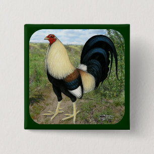 Bóton Quadrado 5.08cm Gamecock da estrada secundária