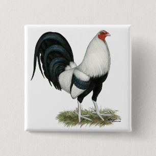 Bóton Quadrado 5.08cm Gamecock de prata de Duckwing