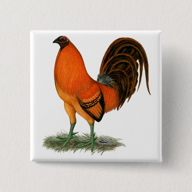 Bóton Quadrado 5.08cm Gamecock Ginger Red Rooster (Frente)