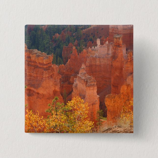 Bóton Quadrado 5.08cm Garganta Utá de Bryce (Frente)