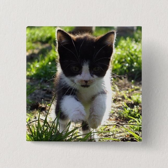 Bóton Quadrado 5.08cm Gatinho (Frente)