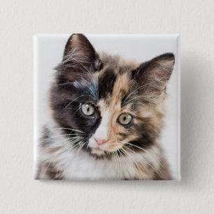 Bóton Quadrado 5.08cm Gatinho adorável da chita