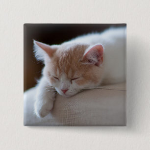 Bóton Quadrado 5.08cm Gatinho bege e branco cansado