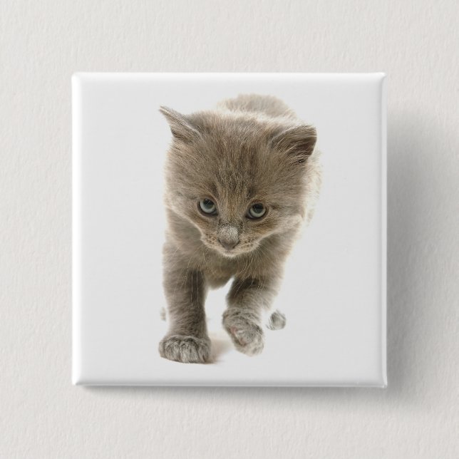 Bóton Quadrado 5.08cm gatinho bonito (Frente)