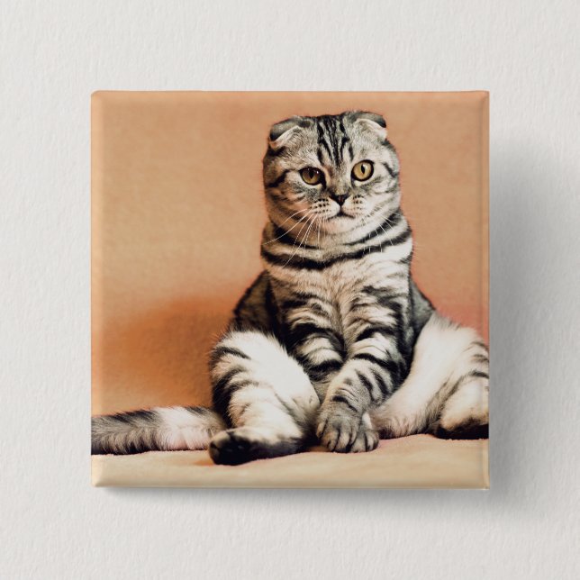 Bóton Quadrado 5.08cm Gatinho Bonito Desenterrado (Frente)