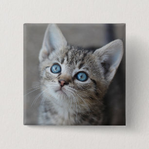 Bóton Quadrado 5.08cm Gatinho bonito no jardim