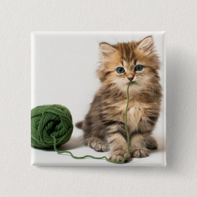 Bóton Quadrado 5.08cm Gatinho com fio verde (Frente)