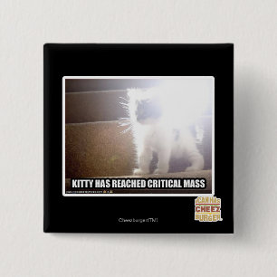 Bóton Quadrado 5.08cm Gatinho da massa crítica