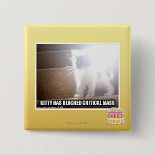 Bóton Quadrado 5.08cm Gatinho da massa crítica