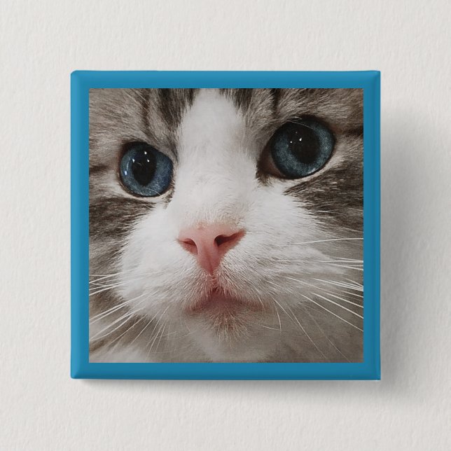 Bóton Quadrado 5.08cm Gatinho de Ragdoll (Frente)